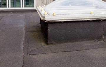 disadvantages of Little Catwick flat roofs